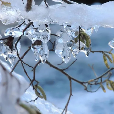 Confortable 2-4 Pers, Centre - Fr-1-234-286 Daire Cauterets